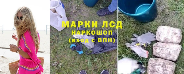 ПСИЛОЦИБИНОВЫЕ ГРИБЫ Аркадак