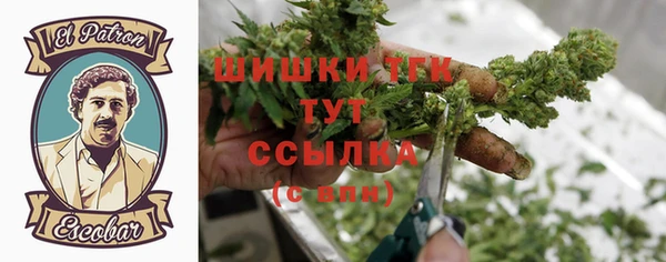 ГАЛЛЮЦИНОГЕННЫЕ ГРИБЫ Чердынь