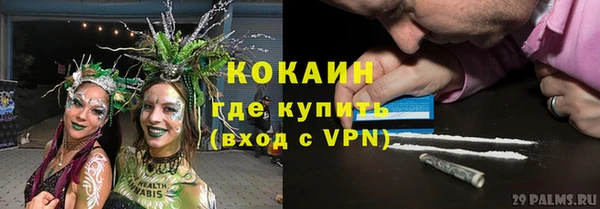 ПСИЛОЦИБИНОВЫЕ ГРИБЫ Аркадак