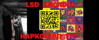 дживик Кимры