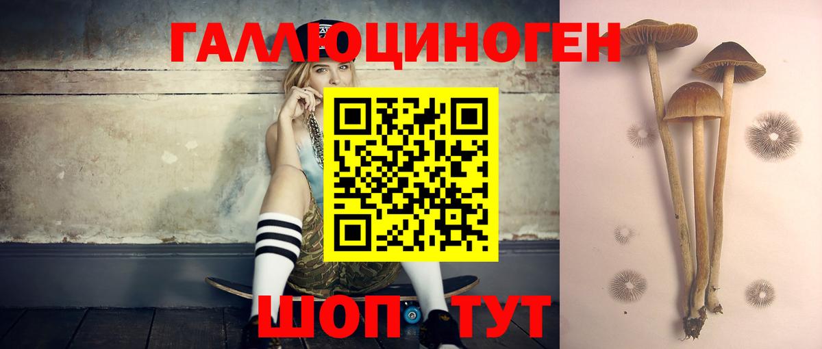 Псилоцибиновые грибы Cubensis  Псилоцибиновые грибы Magic Shrooms  Вход с VPN  Коломна 